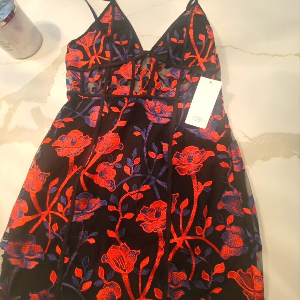 Tobi Black Mini Dress with Red and Blue Floral Embroidery